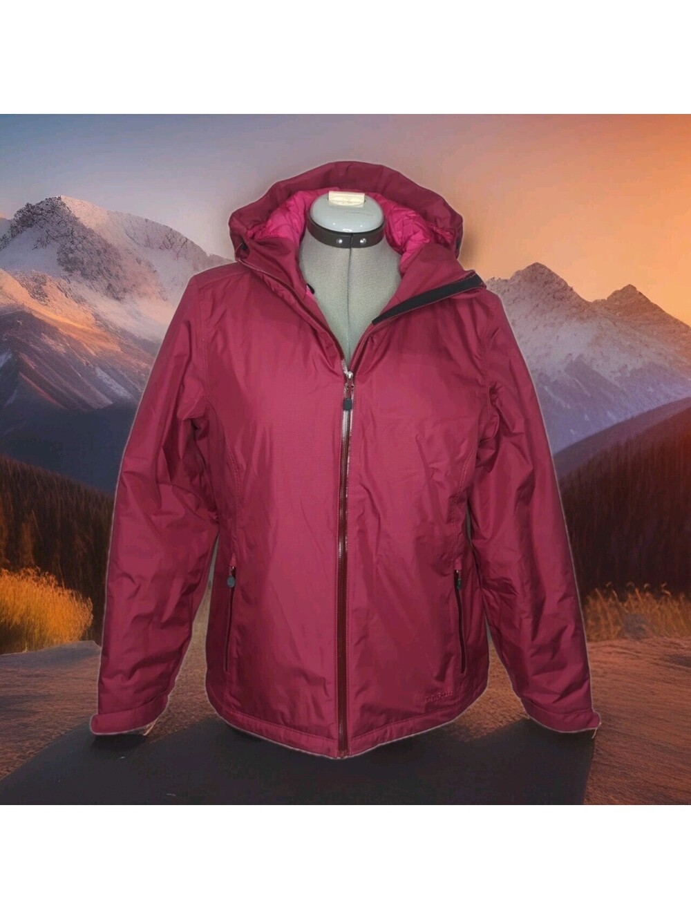 LL Bean Rain Coat Womens Medium Hooded Insulated Waterproof Jacket Outdoor Purpl